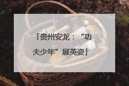 贵州安龙：“功夫少年”展英姿