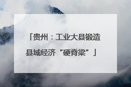 贵州：工业大县锻造县域经济“硬脊梁”