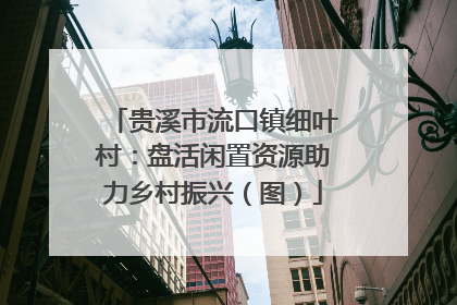 贵溪市流口镇细叶村：盘活闲置资源助力乡村振兴（图）