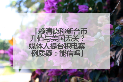 赖清德称新台币升值与美国无关？媒体人提台积电案例质疑：能信吗