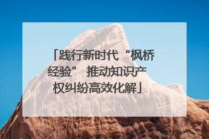 践行新时代“枫桥经验” 推动知识产权纠纷高效化解