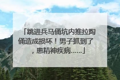 跳进兵马俑坑内推拉陶俑造成损坏！男子抓到了，患精神疾病……