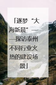 逐梦“大海新晨”——探访泰州不同行业火热的建设场景