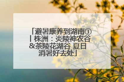 避暑康养到湖南③丨株洲：炎陵神农谷&茶陵花湖谷 夏日消暑好去处