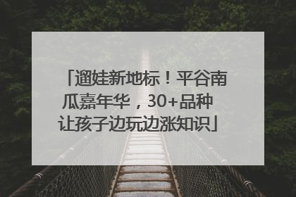 遛娃新地标！平谷南瓜嘉年华，30+品种让孩子边玩边涨知识