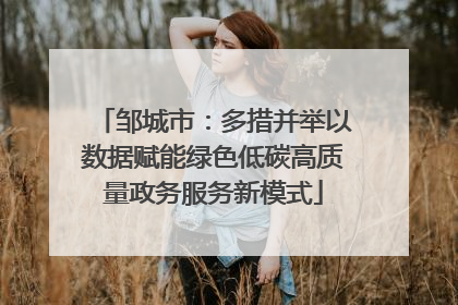 邹城市：多措并举以数据赋能绿色低碳高质量政务服务新模式