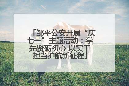 邹平公安开展“庆七一”主题活动：学先贤砺初心 以实干担当护航新征程