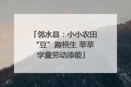 邻水县：小小农田“豆”趣横生 莘莘学童劳动添能