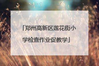 郑州高新区莲花街小学检查作业促教学