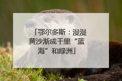 鄂尔多斯：漫漫黄沙渐成千里“蓝海”和绿洲