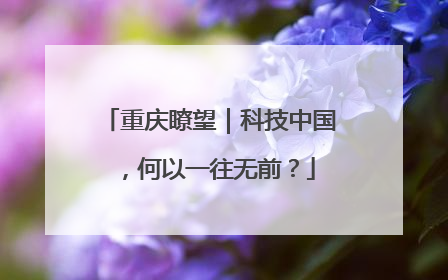 重庆瞭望｜科技中国，何以一往无前？