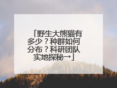 野生大熊猫有多少？种群如何分布？科研团队实地探秘→