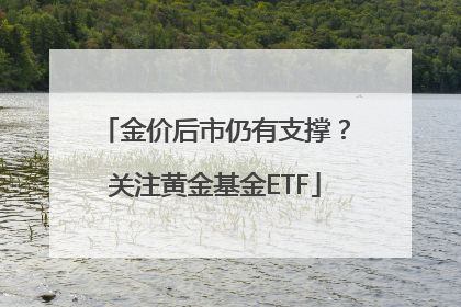 金价后市仍有支撑？关注黄金基金ETF