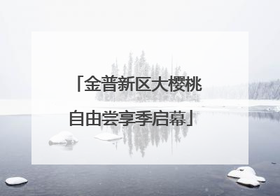 金普新区大樱桃自由尝享季启幕