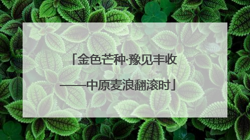 金色芒种·豫见丰收——中原麦浪翻滚时