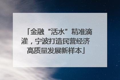 金融“活水”精准滴灌，宁波打造民营经济高质量发展新样本