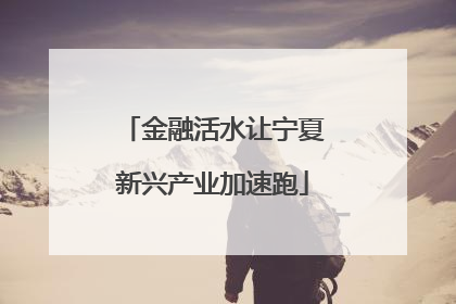 金融活水让宁夏新兴产业加速跑