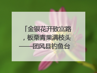 金银花开致富路，板栗青果满枝头——团风县钓鱼台村“山水生金”谱写共富新篇章