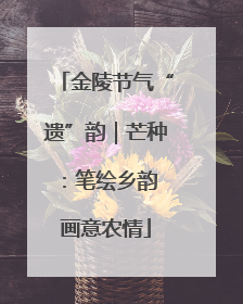 金陵节气“遗”韵｜芒种：笔绘乡韵 画意农情