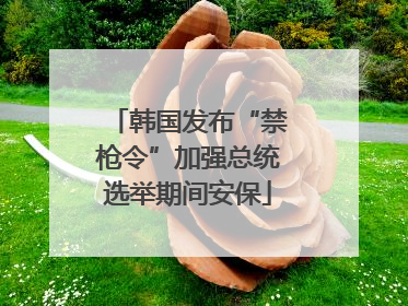 韩国发布“禁枪令”加强总统选举期间安保