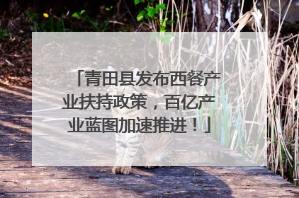 青田县发布西餐产业扶持政策，百亿产业蓝图加速推进！