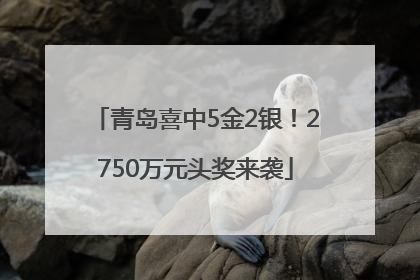 青岛喜中5金2银！2750万元头奖来袭