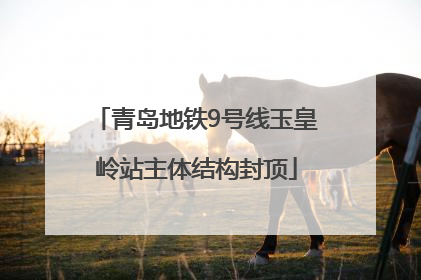 青岛地铁9号线玉皇岭站主体结构封顶