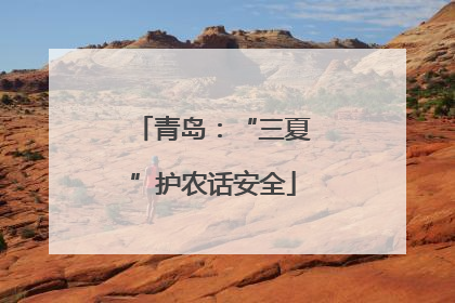 青岛：“三夏”护农话安全