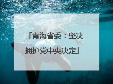 青海省委：坚决拥护党中央决定