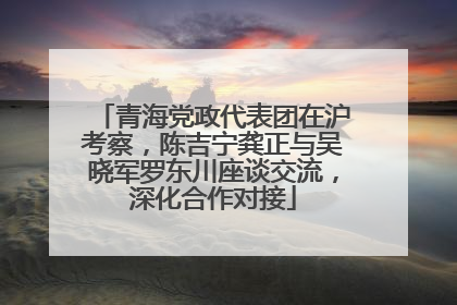 青海党政代表团在沪考察，陈吉宁龚正与吴晓军罗东川座谈交流，深化合作对接