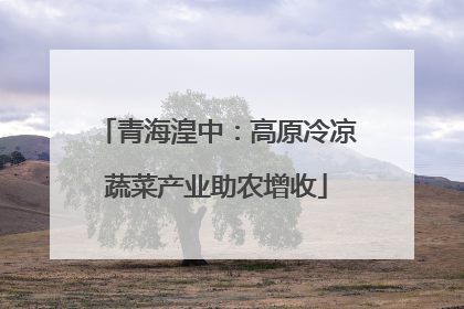 青海湟中：高原冷凉蔬菜产业助农增收