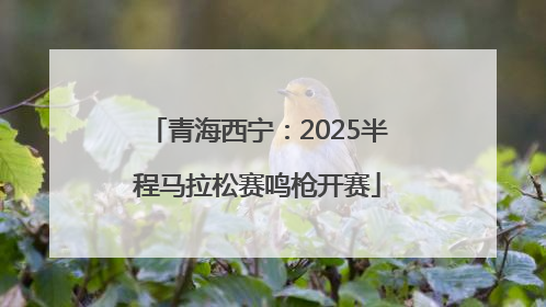 青海西宁：2025半程马拉松赛鸣枪开赛