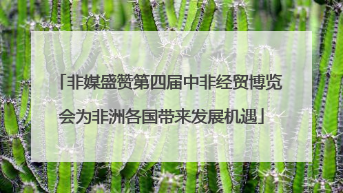 非媒盛赞第四届中非经贸博览会为非洲各国带来发展机遇