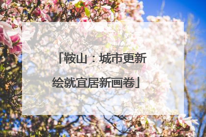 鞍山：城市更新绘就宜居新画卷