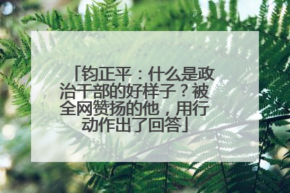 钧正平：什么是政治干部的好样子？被全网赞扬的他，用行动作出了回答