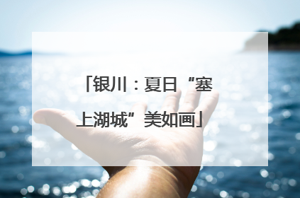 银川：夏日“塞上湖城”美如画