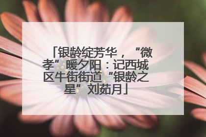 银龄绽芳华，“微孝”暖夕阳：记西城区牛街街道“银龄之星”刘茹月