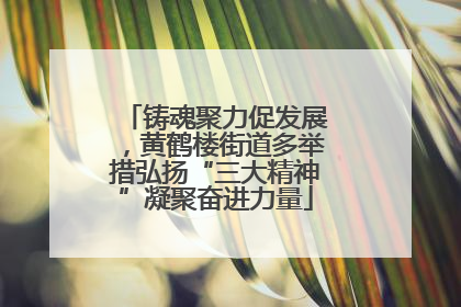 铸魂聚力促发展，黄鹤楼街道多举措弘扬“三大精神”凝聚奋进力量