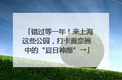 错过等一年！来上海这些公园，打卡莫奈画中的“夏日神颜”→