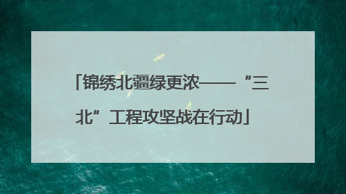 锦绣北疆绿更浓——“三北”工程攻坚战在行动