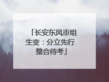 长安东风重组生变：分立先行 整合待考