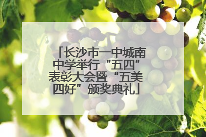 长沙市一中城南中学举行“五四”表彰大会暨“五美四好”颁奖典礼