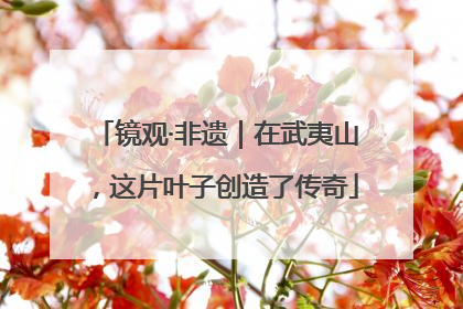 镜观·非遗｜在武夷山，这片叶子创造了传奇