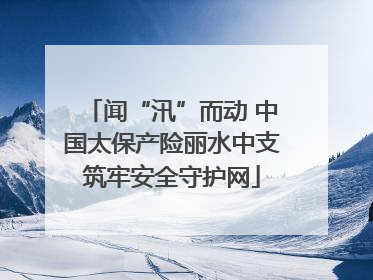闻“汛”而动 中国太保产险丽水中支筑牢安全守护网