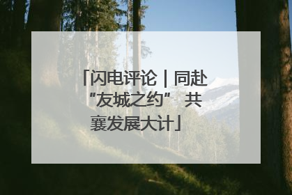 闪电评论｜同赴“友城之约” 共襄发展大计