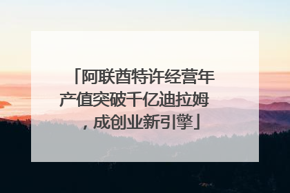 阿联酋特许经营年产值突破千亿迪拉姆，成创业新引擎