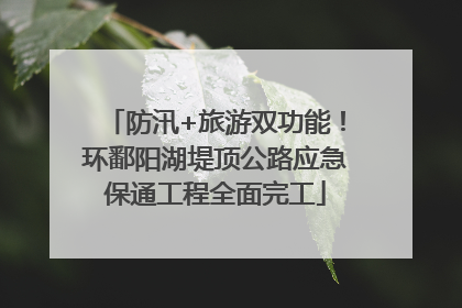 防汛+旅游双功能！环鄱阳湖堤顶公路应急保通工程全面完工