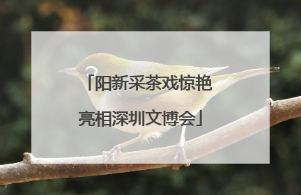 阳新采茶戏惊艳亮相深圳文博会
