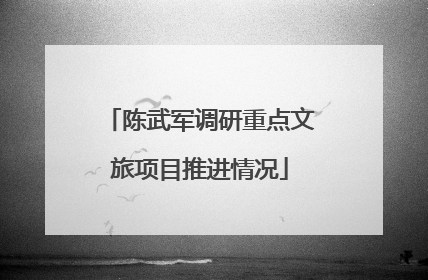 陈武军调研重点文旅项目推进情况