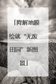 降解地膜绘就“无废田园”新图景
